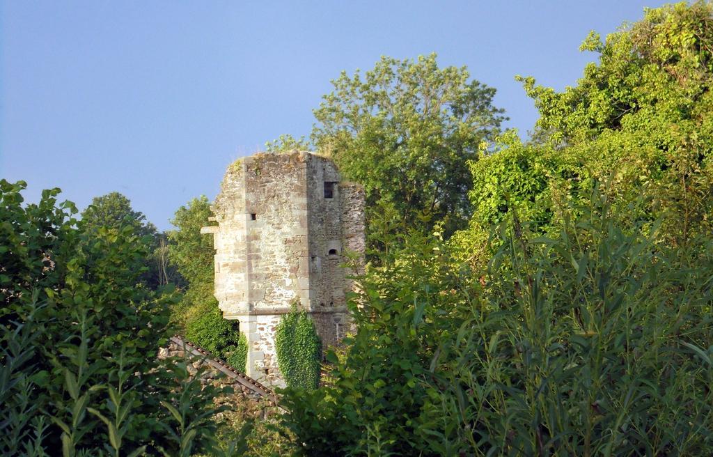 Hardanges Chateau De La Chasse-Guerre Bed & Breakfast エクステリア 写真