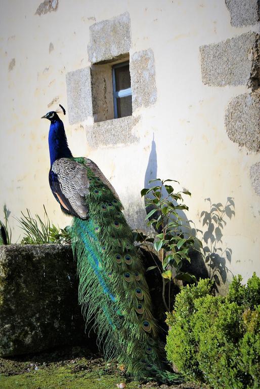 Hardanges Chateau De La Chasse-Guerre Bed & Breakfast エクステリア 写真